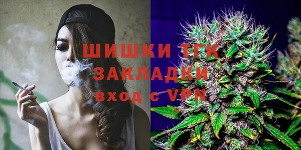 спиды Магас