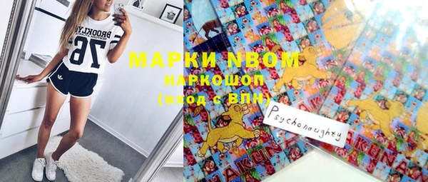спиды Магас
