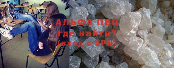 спиды Магас