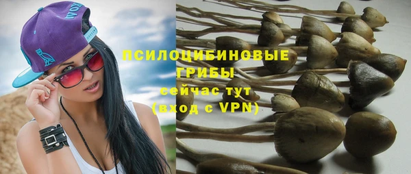 Альфа ПВП Магадан