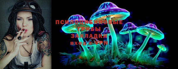 спиды Магас