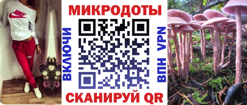 Псилоцибиновые грибы ЛСД  ОМГ ОМГ ссылка  Калининград  закладка 